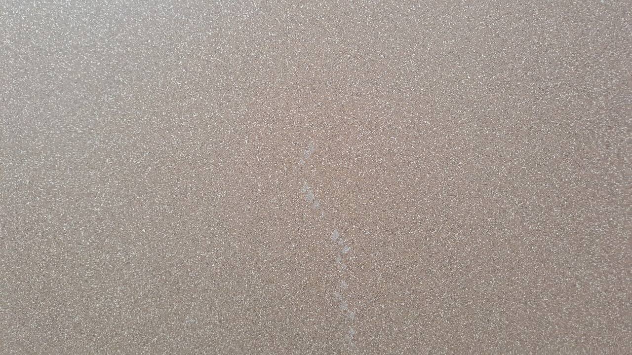 RAK Vitrified Tile